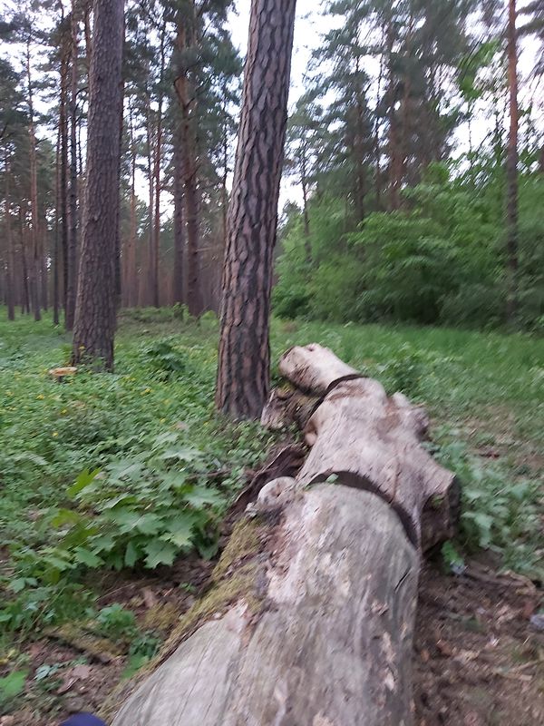 06.06.2020