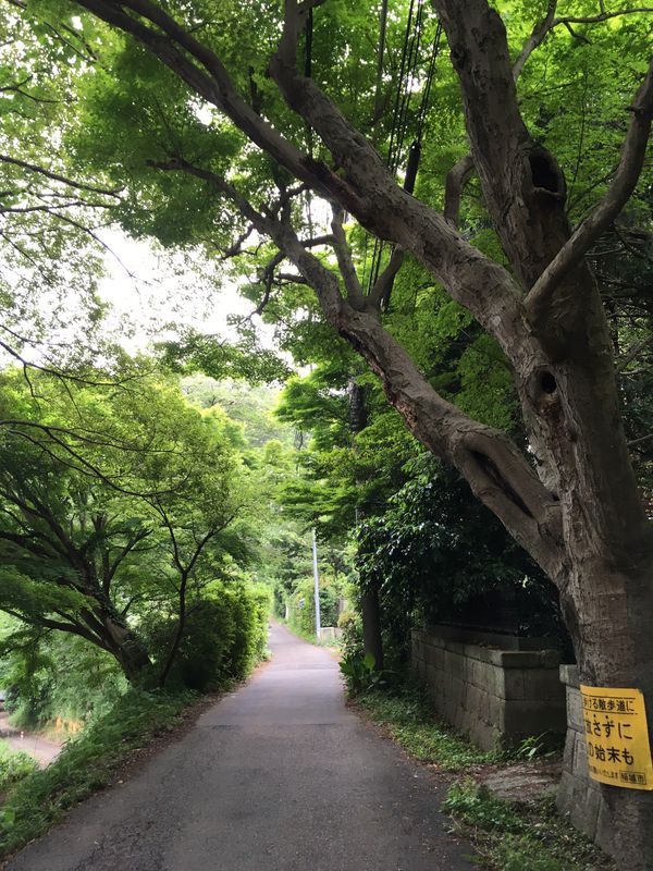 Moderate route in Machida-Shi