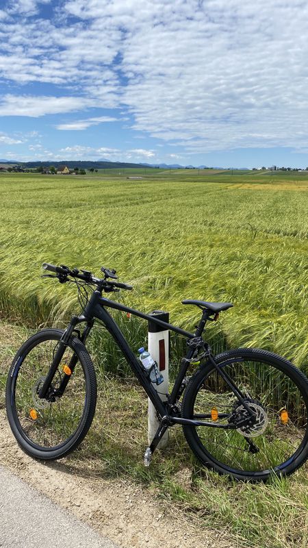 Gutenbergstraße 7, St. Pölten nach Brüder-Teich-Straße 28a, Weinburg