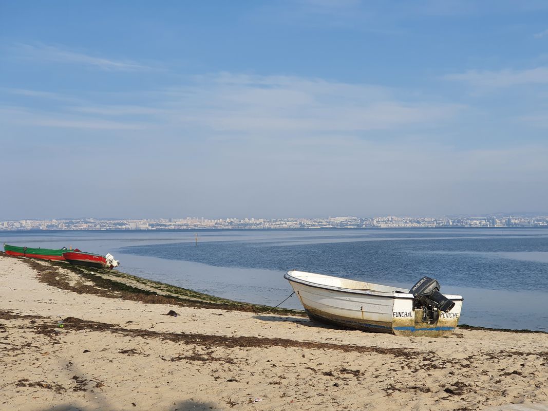 45km Montijo/Alcochete/Samouco