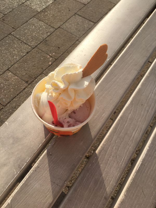 Eichendorffstraße 18, Bad Salzuflen nach Herforder Straße 4, Vlotho