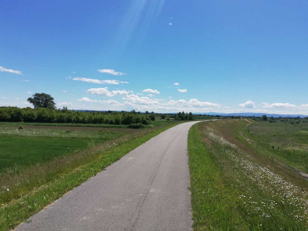 Szpitalna 66, Oświęcim do Szpitalna 66, Oświęcim