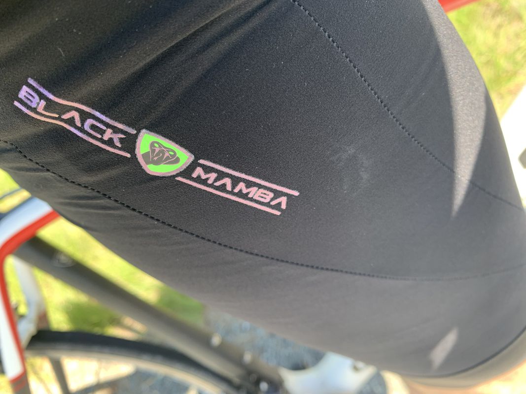 Black Mamba 🐍 first chapter