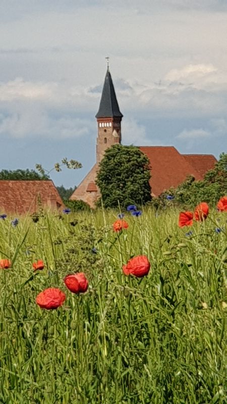 Unnamed Road, Sternberg nach Am Glammsee 43, Warin
