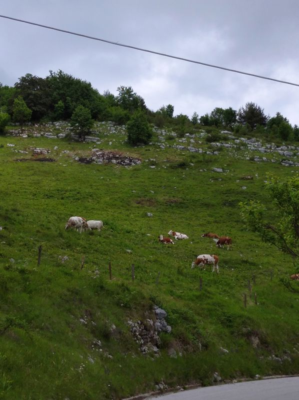Da Via Romanian 14, Budoia a Via Cal Mattia 3, Budoia