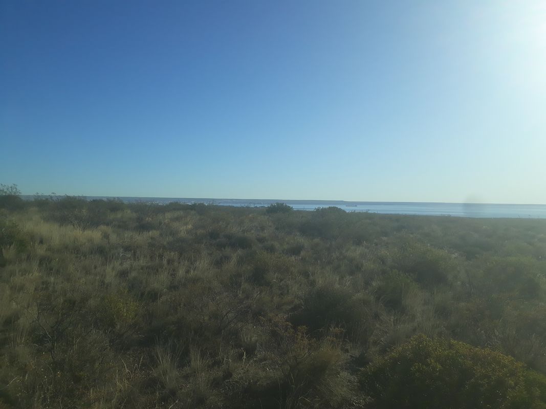 De Wolanky, Puerto Madryn a Wolanky, Puerto Madryn