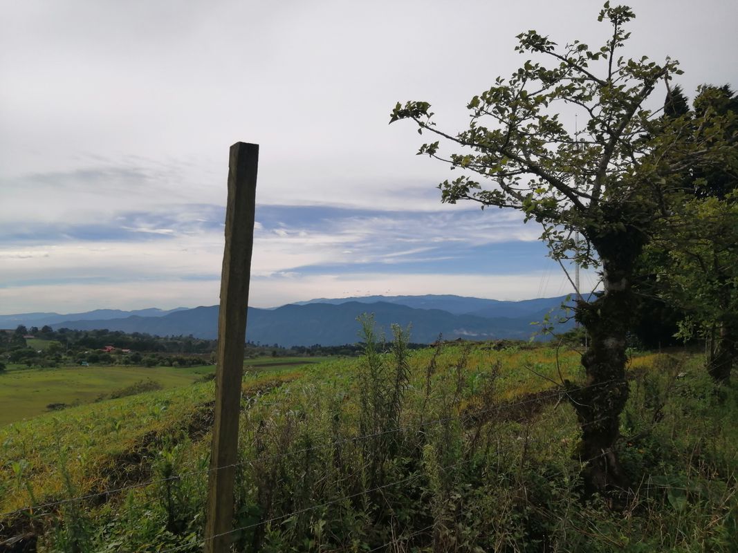 De Calle 1, Cartago a Cartago