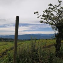 De Calle 1, Cartago a Cartago
