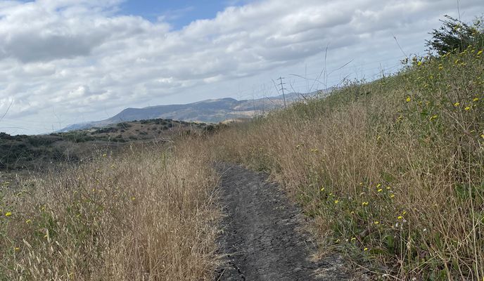 Photo 1 of the Bikemap route "Barberry, Ladera Ranch to 2 Candlewind Ct, Ladera Ranch"