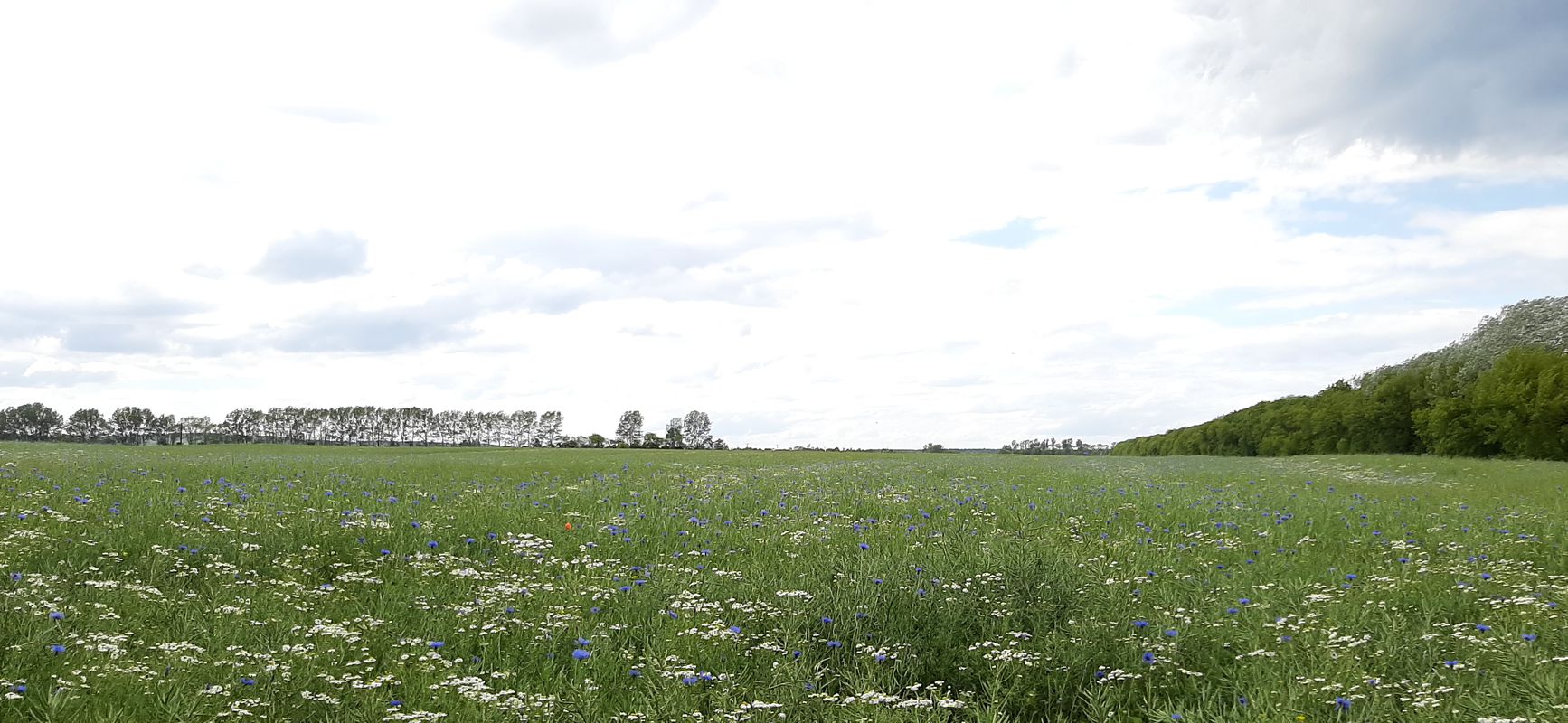 Elmenhorst Kühlungsborn zurück über Warnemünde  nach Elmenhorst