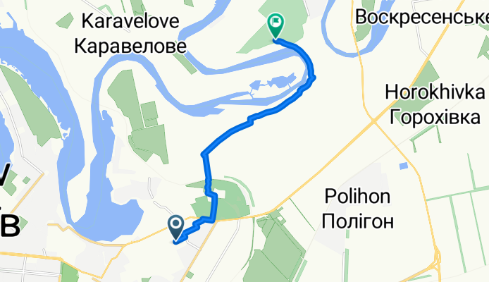 ташкентский лес