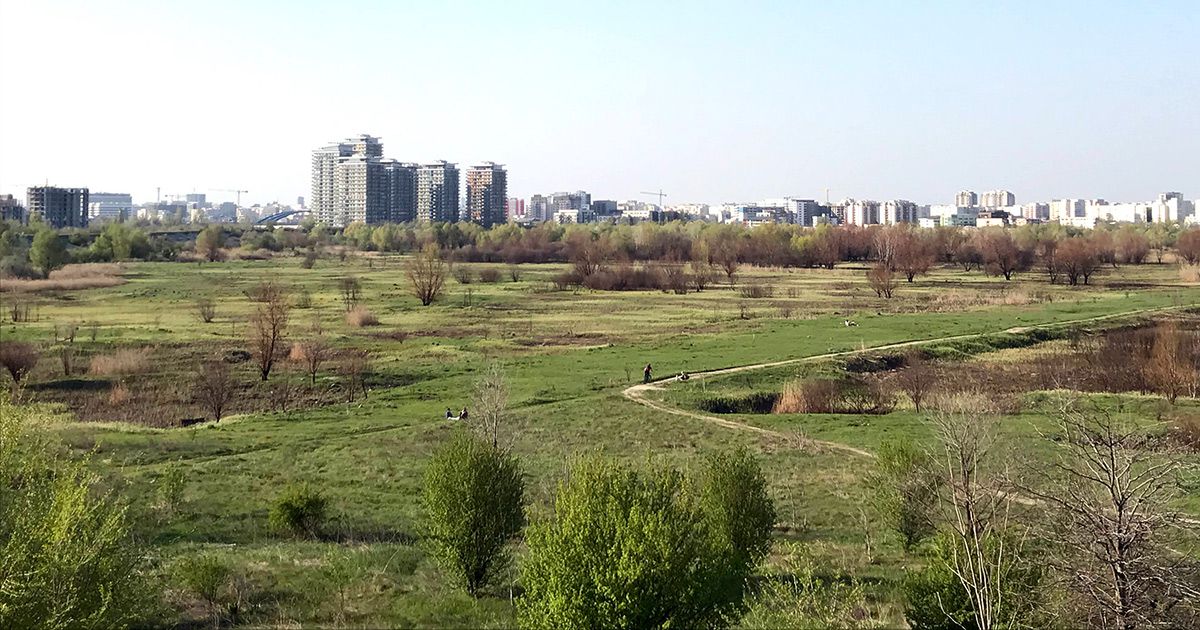 Parcul natural Delta Văcărești – București