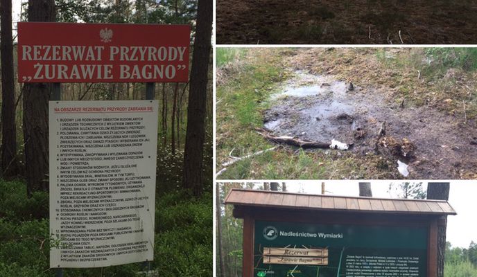 Photo 2 of the Bikemap route "Rezerwat ŻURAWIE BAGNO"