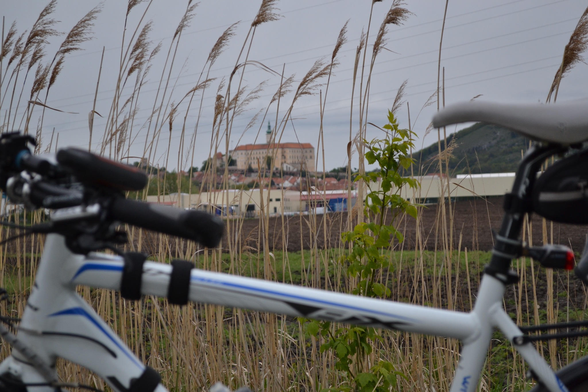 Hebe Bild 8 entlang der Bikemap-Route "Wien-Hamburg 02/10: Gajary (SVK) - Vrbovec (bei Znojmo) (CZE)" hervor