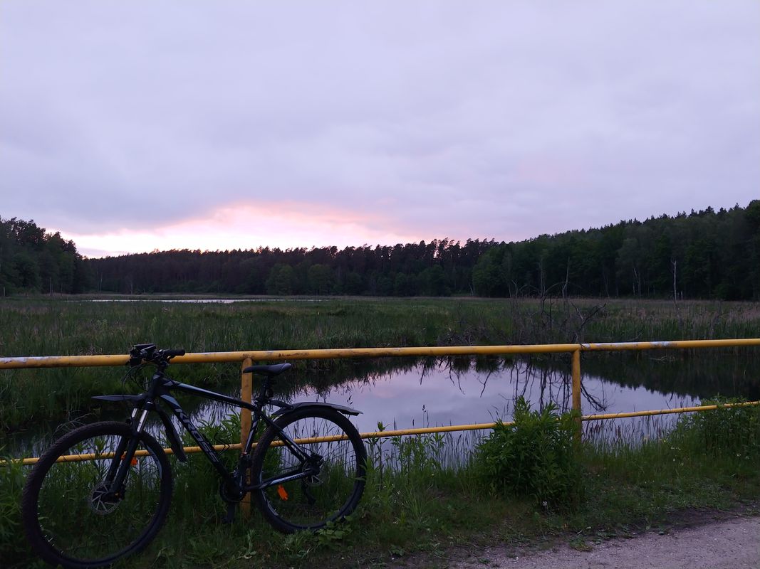 błądzenie za dajtkami