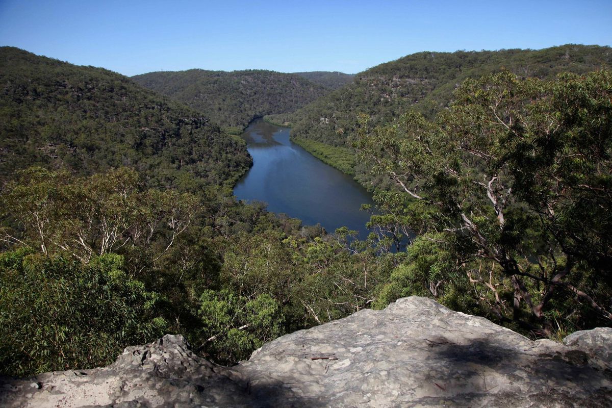 Berowra - Berkely Fire Trail