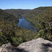 Berowra - Berkely Fire Trail