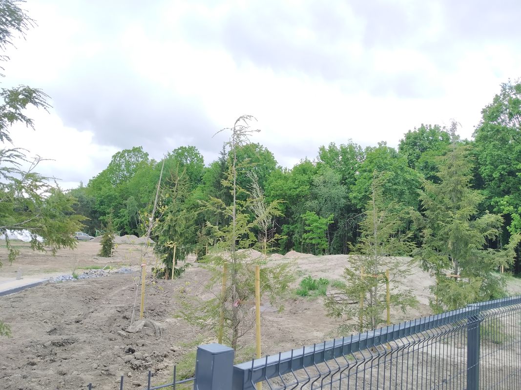Barsūniškio gatvė 6, Lapės to Centrinė gatvė 26, Lapės
