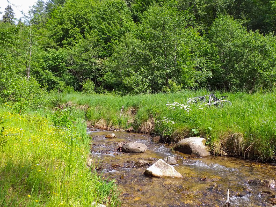 Sibiel MTB Green 57 km Sibiel - TransSibiel - Crint - Jina - Tilisca - Saliste - Vale - Sibiel (ADE 31)