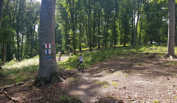 Zdjęcie 2 trasy Bikemap „Comuna Saschiz to Unnamed Road”