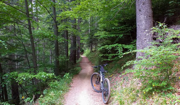 Photo 1 of the Bikemap route "Brasov MTB Postavarul 35 km Brasov - Poiana Brasov - Cab. Postavaru - Poiana Stechil - Saua Tampei - Brasov (ADE 70)"