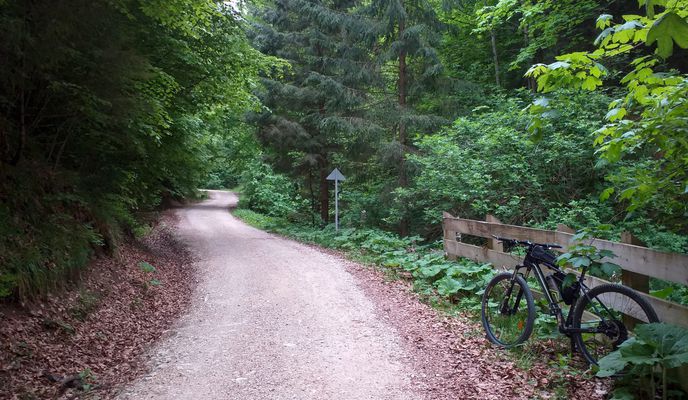 Photo 2 of the Bikemap route "Brasov MTB Postavarul 35 km Brasov - Poiana Brasov - Cab. Postavaru - Poiana Stechil - Saua Tampei - Brasov (ADE 70)"