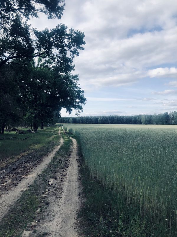 Powolna trasa w Grabice