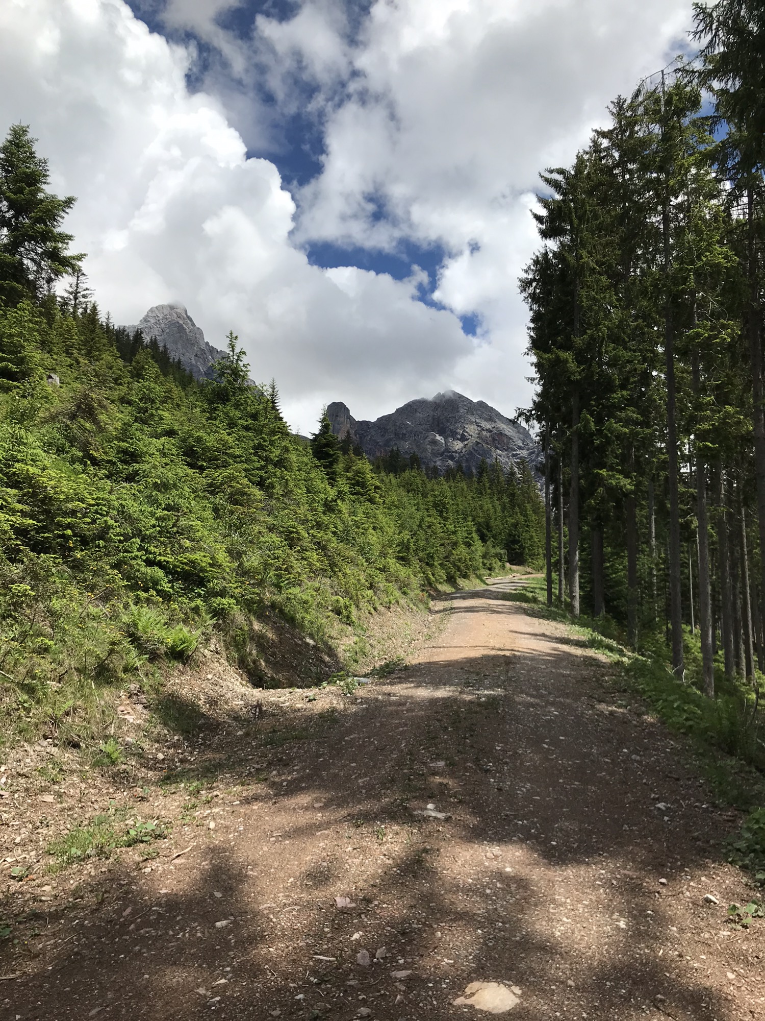 von Leogang nach Saalfelden-Ramseiden Talschluss-über Bürgerberg zurück nach Leogang