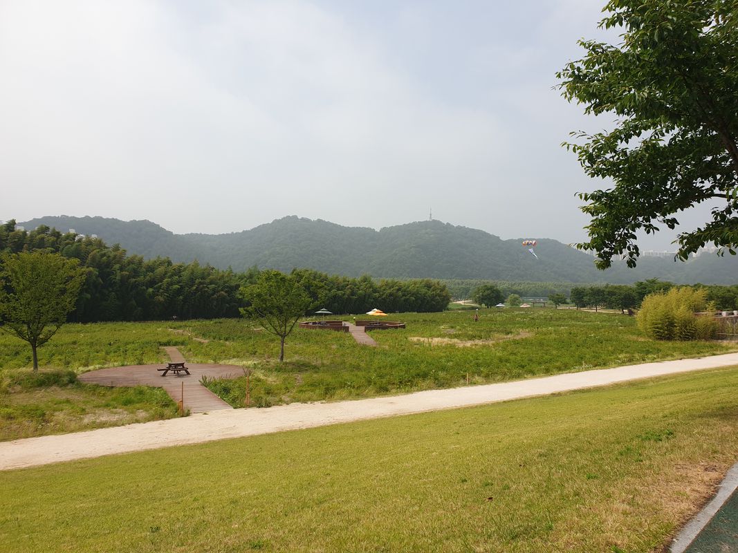 Taehwa-dong 596-5 to Oedong-eup 398-2, Gyeongju