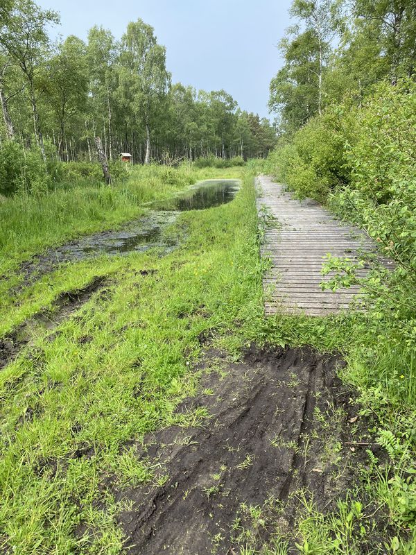 Łeba - Izbica torfowiska - Czołpino wydmy - plaża Łeba