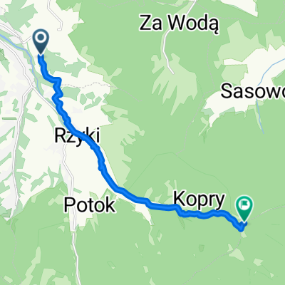 Easy ride in Chocznia