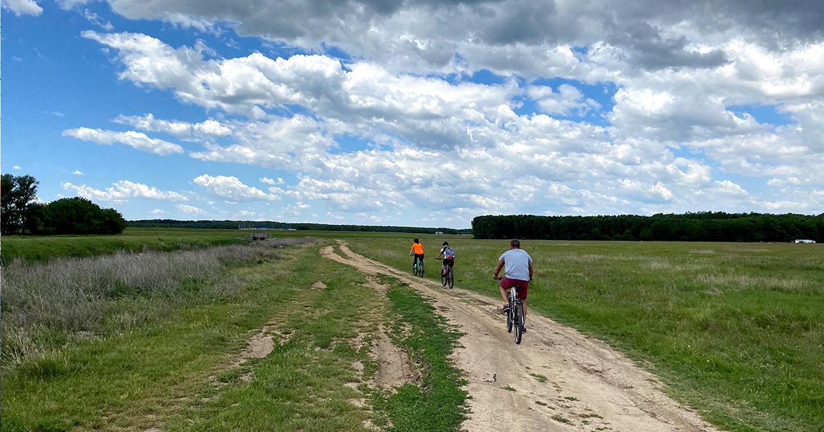 Traseul La Broaște – Pădurea Căldărușani, Ilfov