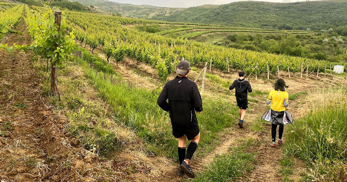 Traseul scurt Maratonul Vinului – Urlați, Prahova