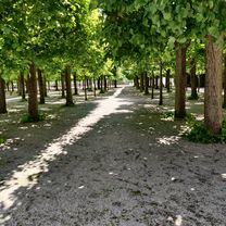 Foto 7 der Bikemap-Route "Wetzlar-Weilburg-Wetzlar"