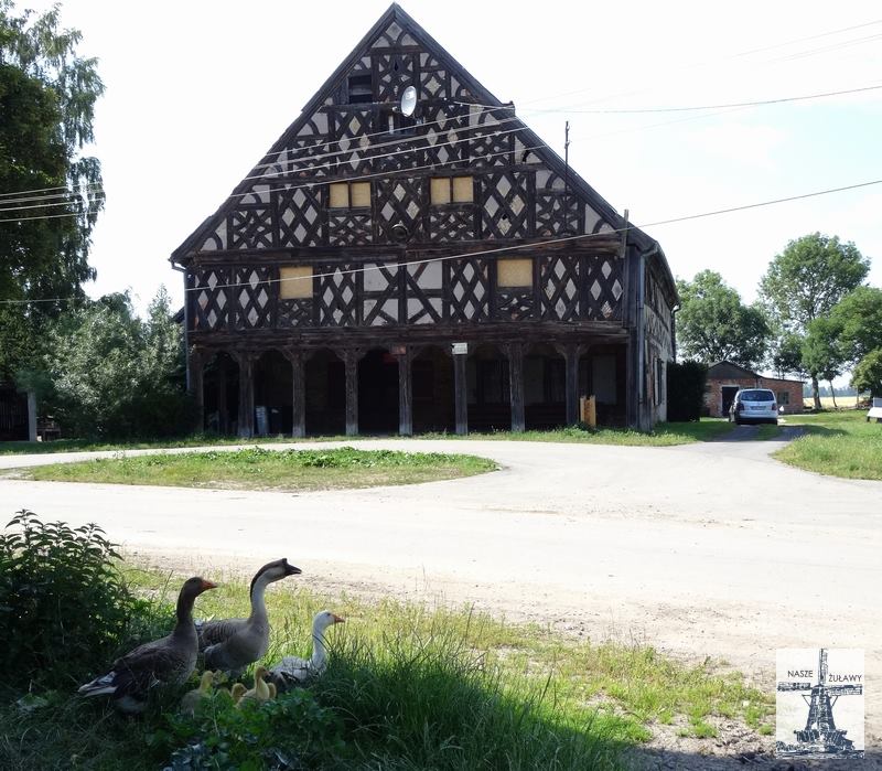 Destacado 16 en la ruta de Bikemap "Żuławy Elbląskie"