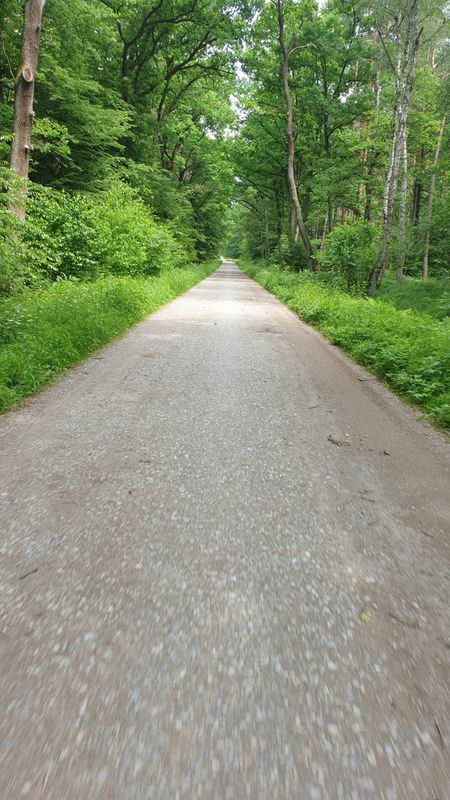 Chysne - Baczków - Mikluszowice - Chysne