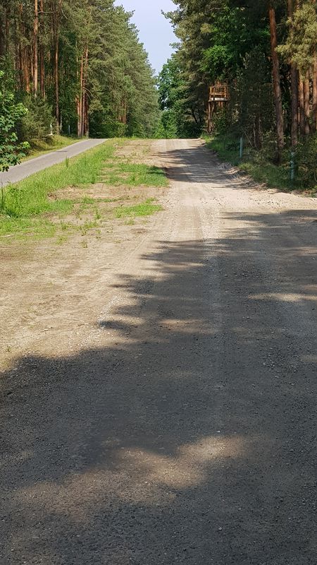 Waldbrandgebiet 2018 A9 Ferch