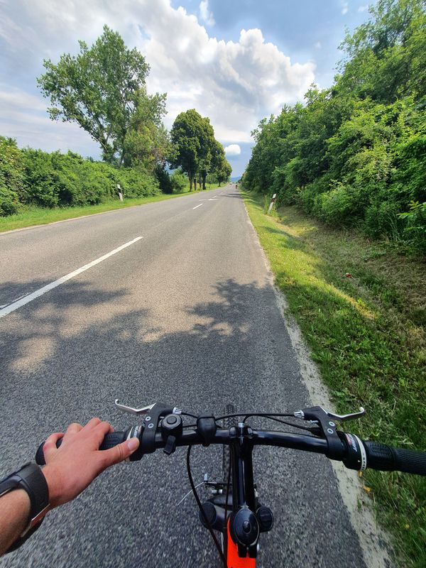 Visegrád, Zebegény, Szob, Dömös and Visegrád bike tour