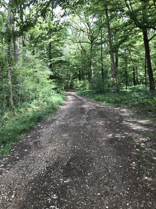 Discovering Breuilpont area - Relax 16km/h