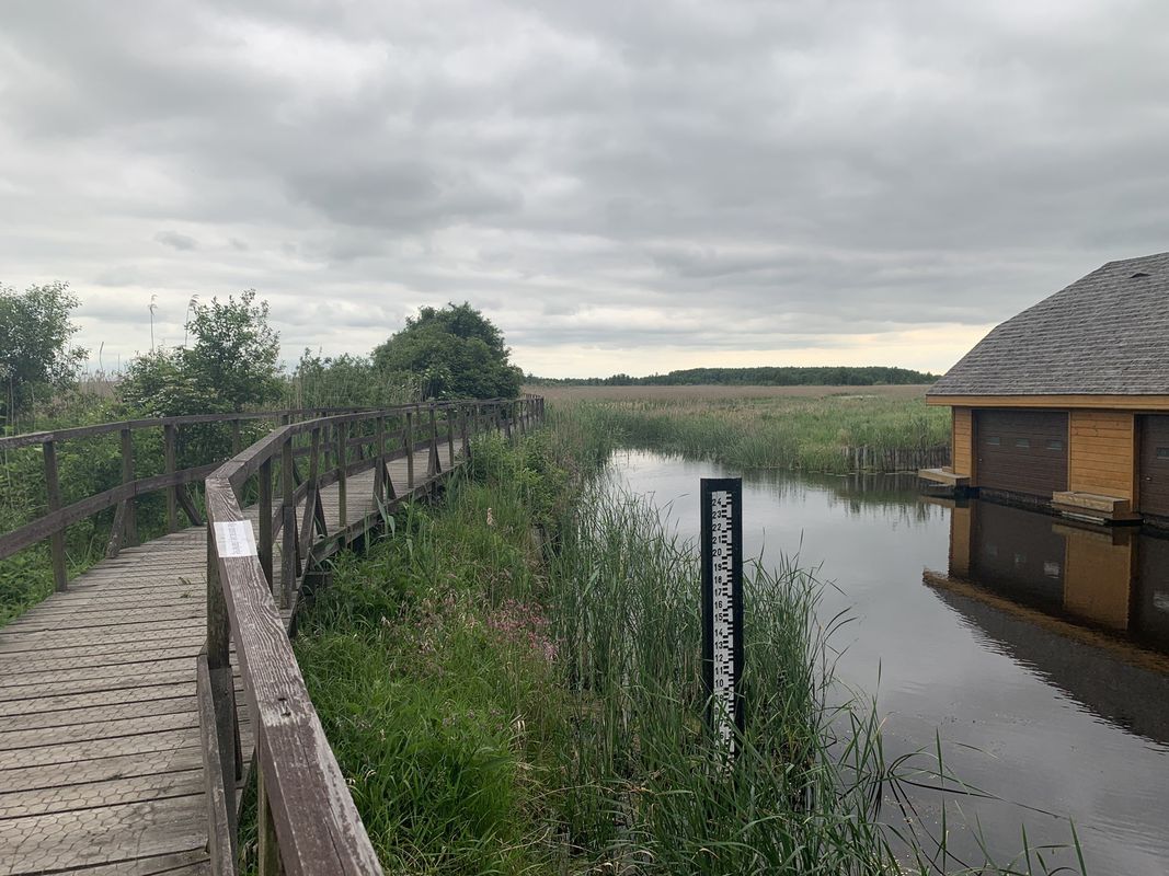 bagna Narew