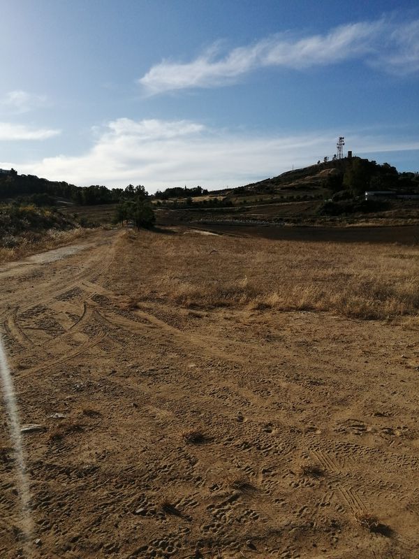 Mairena del Alcor-Carmona-Mairena del Alcor