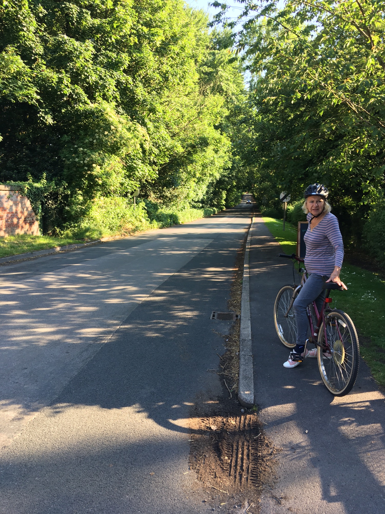 The Harp’s Bike Ride