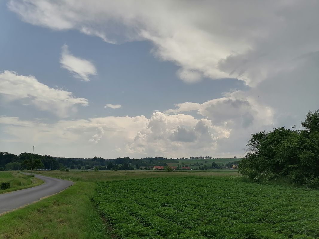 Droga Wojewódzka 358 49, Leśna do Garnniczna 2, Lubań