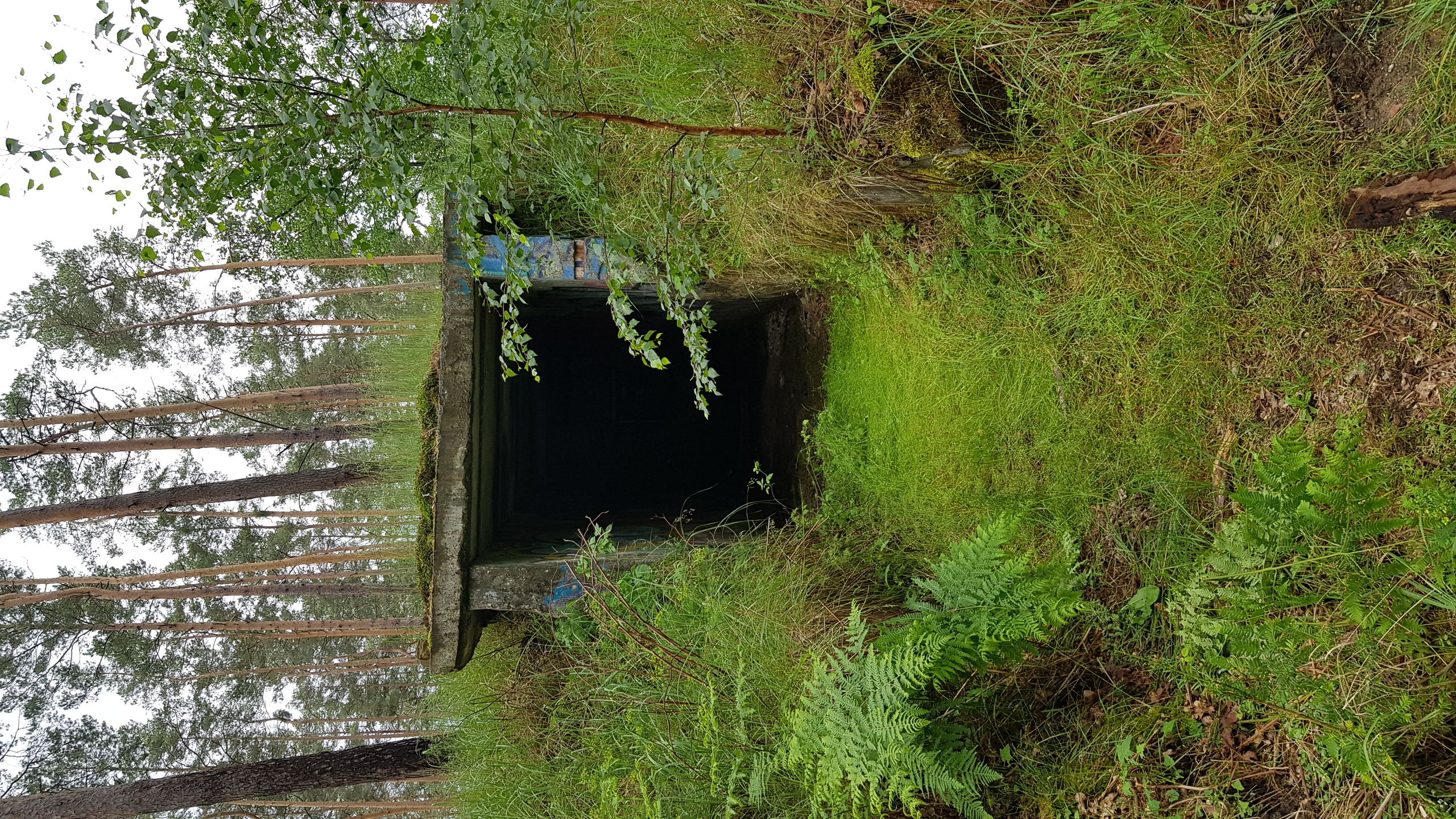 Waldbrandgebiet 2018 A9, Bunker, Adlerbrücke