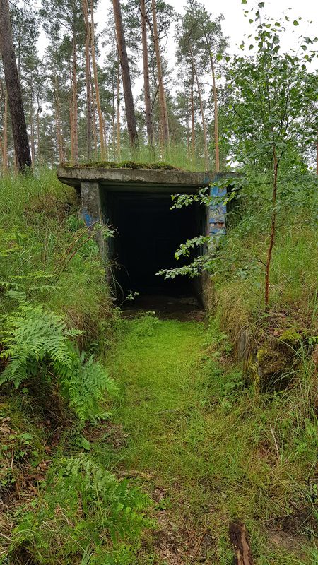 Waldbrandgebiet 2018 A9, Bunker, Adlerbrücke