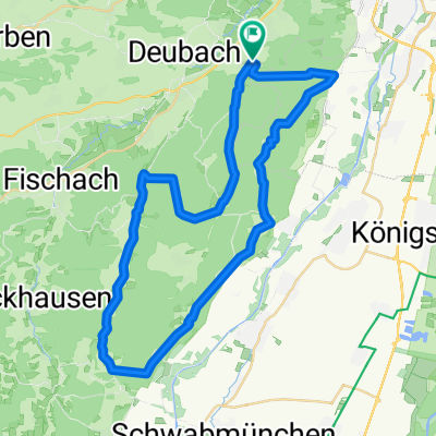 Waldidylle im Naturpark Augsburg Westl. Wälder CLONED FROM ROUTE 107382