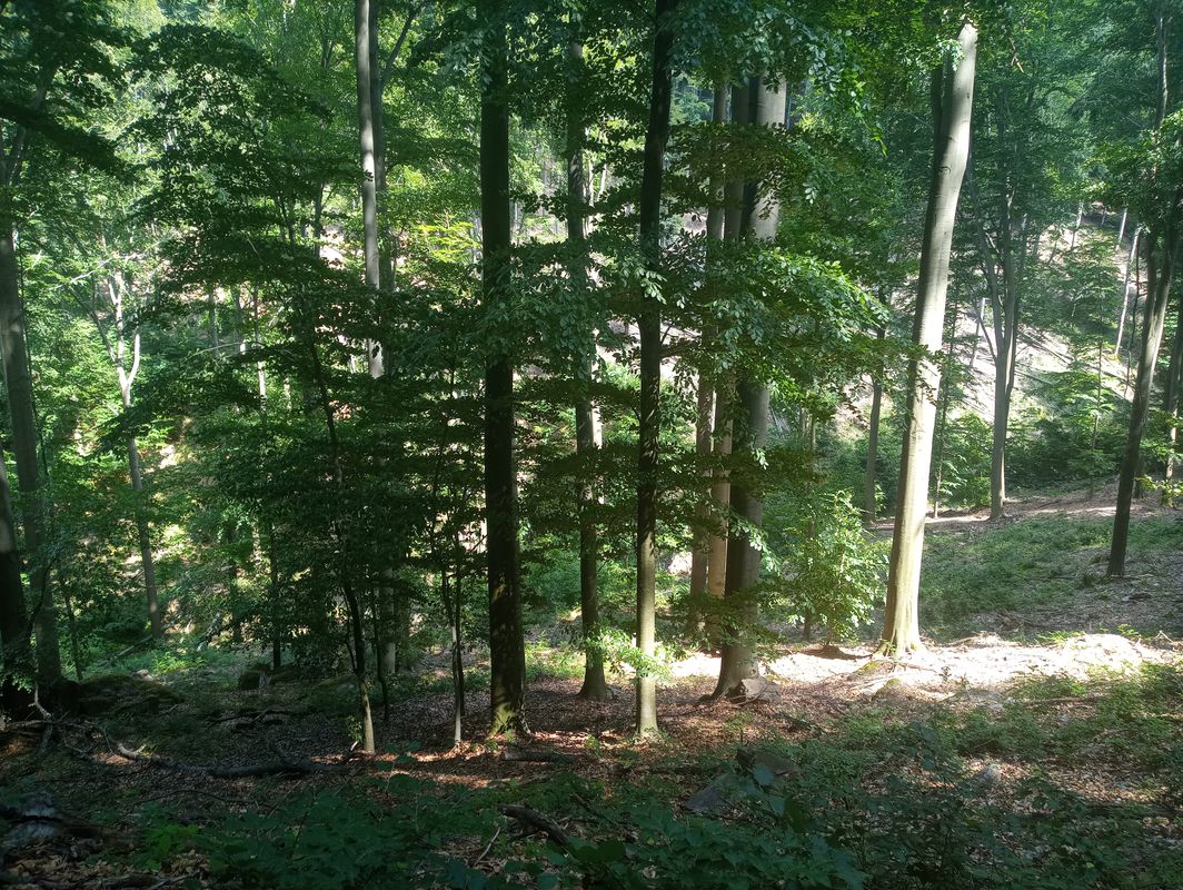 Petőfi út 26, Háromhuta to Petőfi út 18, Háromhuta
