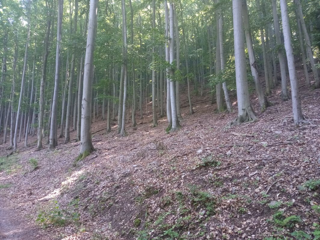 Petőfi út 26, Háromhuta to Petőfi út 18, Háromhuta
