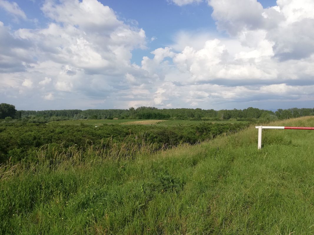 Strada Bârgăului 5, Satu Mare to Strada Bârgăului 5, Satu Mare
