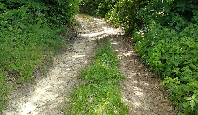 Photo 2 of the Bikemap route "9A, Malczów do Unnamed Road"